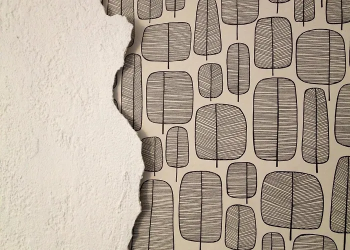 酒店 品奈的酒店 胡安莱潘